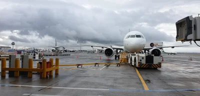 Keeping Auckland International Airport running smoothly
